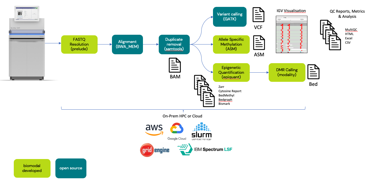 Figure 1: biomodal analysis pipeline workflow