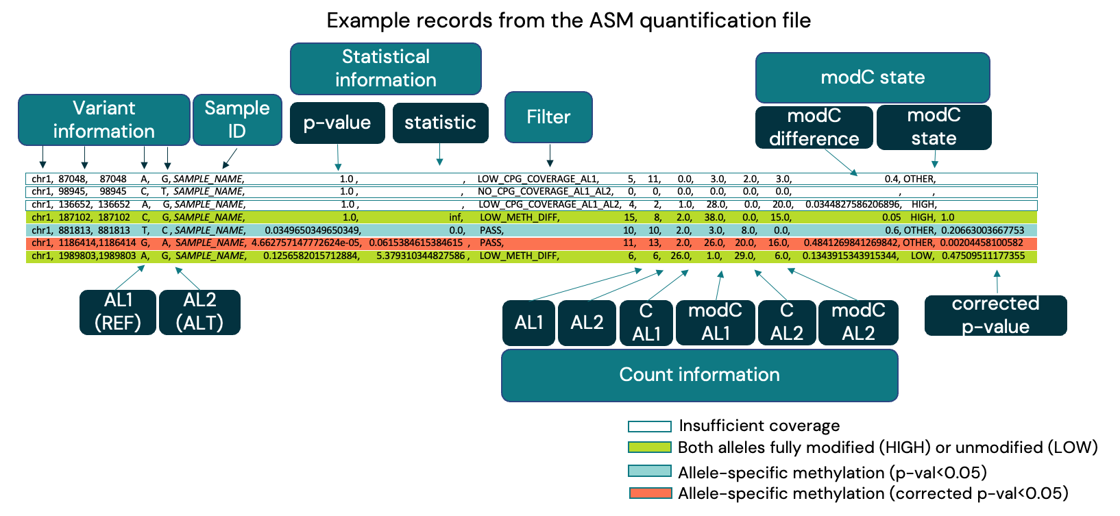 Figure 10. Breakdown of a biomodal ASM file