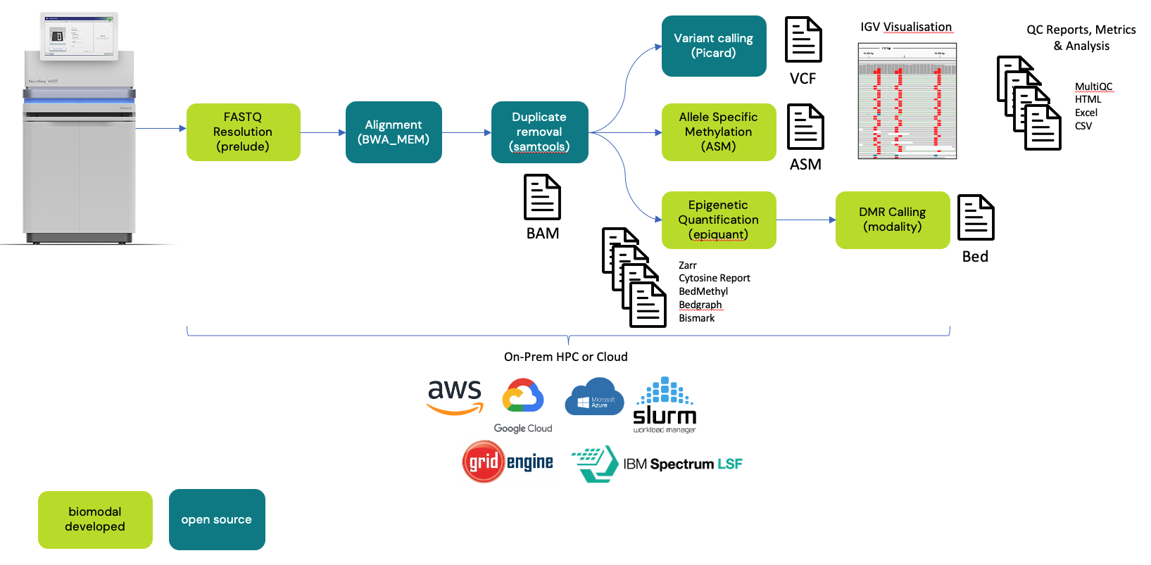 Figure 1: biomodal analysis pipeline workflow