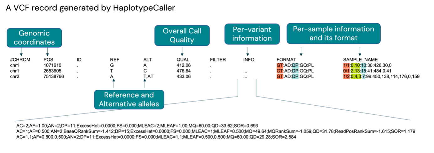 Figure 6. Breakdown of a biomodal VCF file